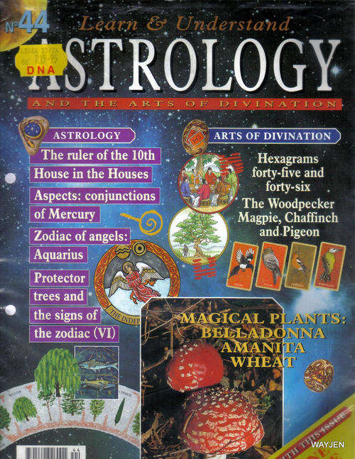 LEARN AND UNDERSTAND ASTROLOGY NO.44. WITH ONE RUNE.