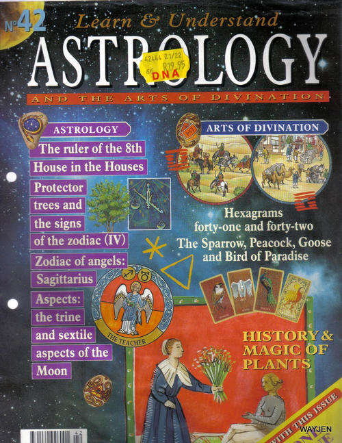 LEARN AND UNDERSTAND ASTROLOGY NO.42. WITH ONE RUNE.