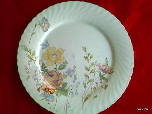 FLORAL DINNER PLATE. MADE IN CHINA. 25cm DIAMETER.