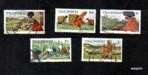 5 REPUBLIC OF TRANSKEI STAMPS. 1976.  AS PER SCAN.