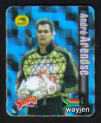 ANDRE ARENDSE TRADING CARD. BAFANA BAFANA. SIMBA WORLD SOCCER ICON CARD.