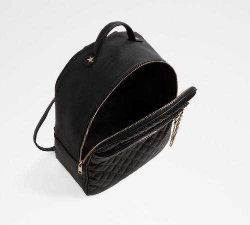 Aldo Spiros Backpack