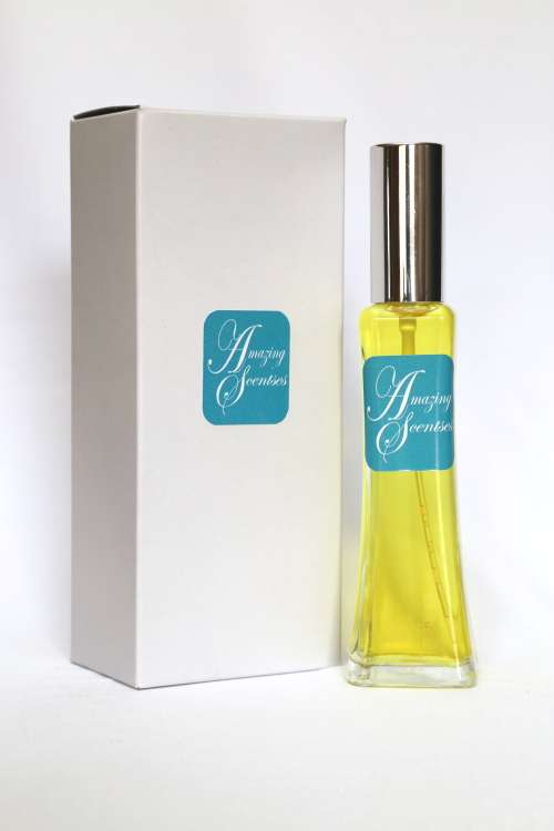 Inspired by DKNY -  Original perfume  60ml