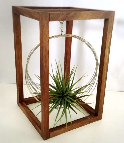 Stackable 3D Bonsai Swing