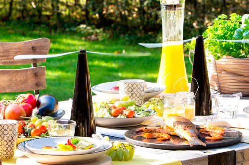 Shoo Away Fly Repellent Chemical Free - Black/White