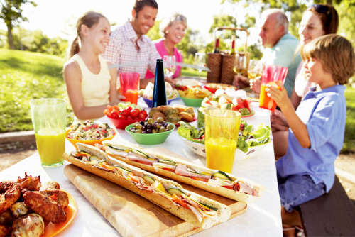 Shoo Away Fly Repellent Chemical Free - Black/White