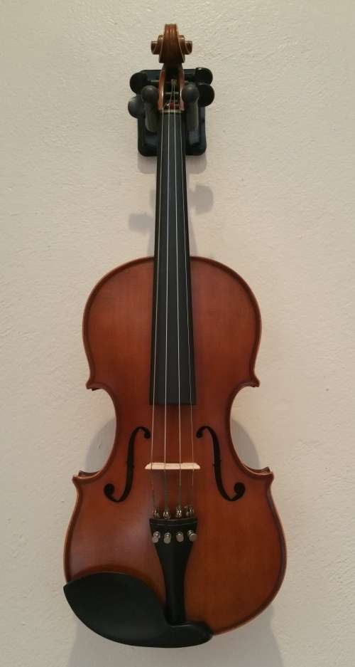 Violin + Bow + Shoulder Rest + Stand for Violin and Bow + Case + Tuner