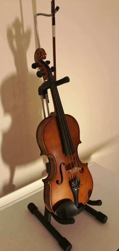 Violin + Bow + Shoulder Rest + Stand for Violin and Bow + Case + Tuner