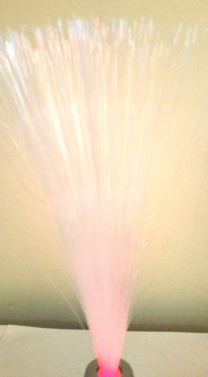 FIBRE OPTIC LAMP