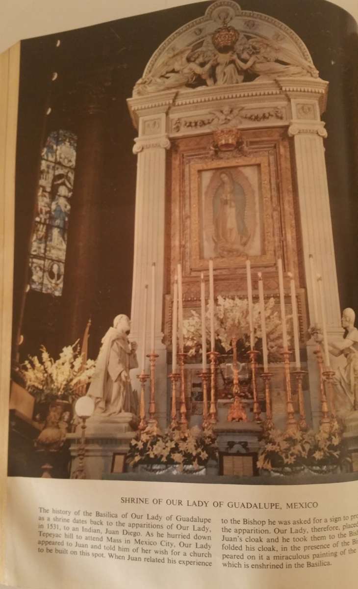 VINTAGE CATHOLIC HOLY BIBLE FROM THE CELLARS OF A CATHOLIC CHURCH - AMAZINGLY PRESERVED