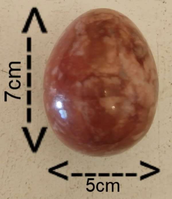 CARNELIAN FLOWER ROSE CALCITE AGATE STONE EGG ON STAND