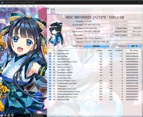 WD Blue 1000Gb HDD 2.5`