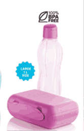 Tupperware On-the-go Set