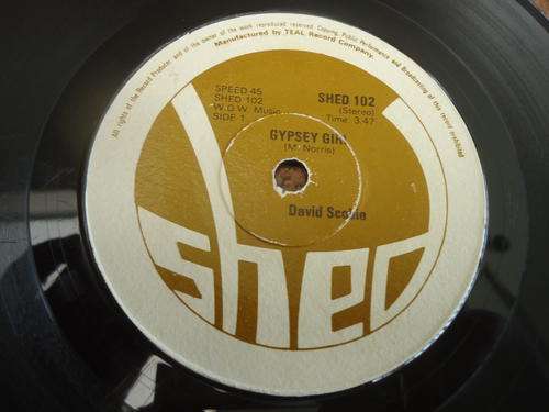 DAVID SCOBIE "GYPSY GIRL B/W DON'T PASS ME BY" SHED STEREO SEVEN SINGLE