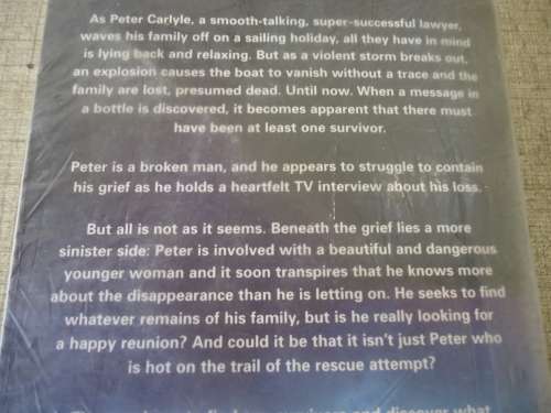 JAMES PATTERSON AND HOWARD ROUGHAN "SAIL"-  LARGE SOFT COVER