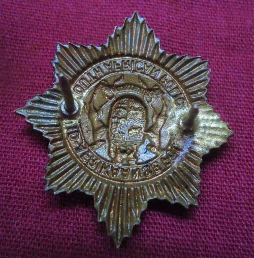 SOUTH AFRICAN POLICE GOLD COLOUR PIP