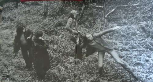 BRINSLEY SCHWARTZ - SELF TITLED -GERMAN ISSUE - UNITED ARTISTS GATEFOLD VINYL LP -UAS 29 111