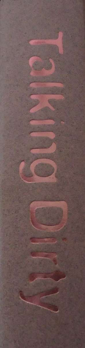 TALKING DIRTY - CARTOONS BY DAN PEARCE - 336 PAGE SMALL HARDCOVER