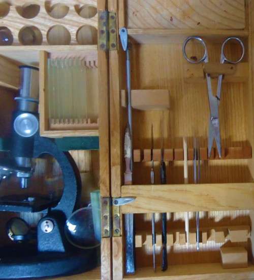 VINTAGE KANEL 300x MINI MICROSCOPE IN WOODEN CASE WITH  ACCESSORIES