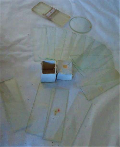 VINTAGE KANEL 300x MINI MICROSCOPE IN WOODEN CASE WITH  ACCESSORIES