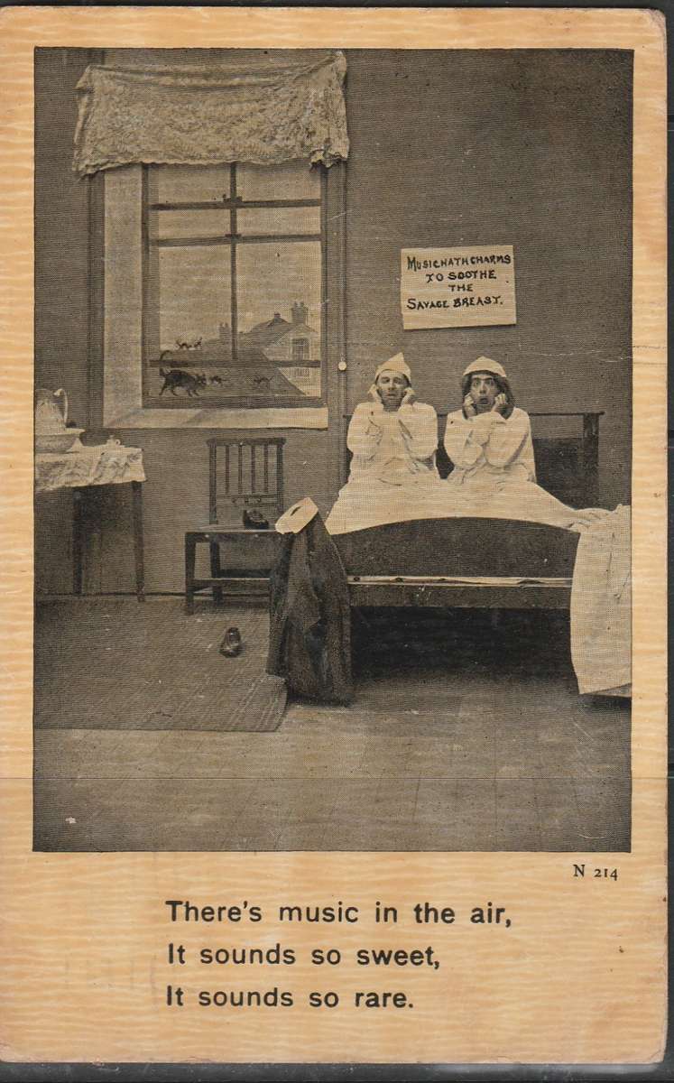 A PICTURE POST CARD THERE IS MUSIC IN THE AIR FROM USA TO SA LOWER PAARL LOOK SCAN X 2