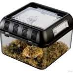 Small Exo-Terra Plastic Terrarium