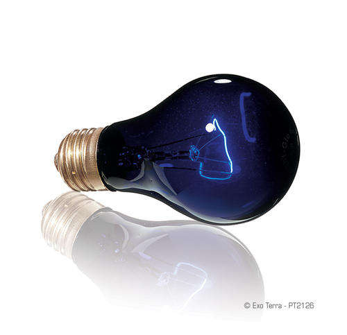 Exo-Terra Night Heat Lamp 50 Watt