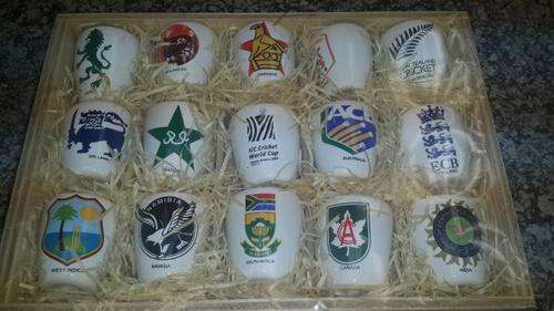 2003 ICC Cricket World Cup Shooter Glasses