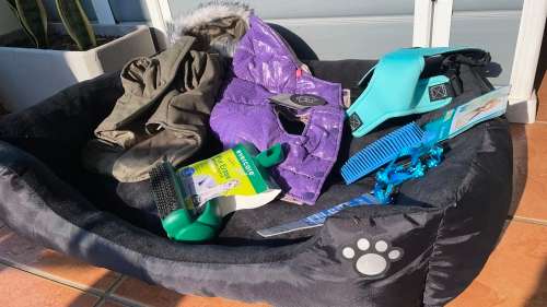 BARGAIN!!! Dog - Pet Accesories Combo!!!!