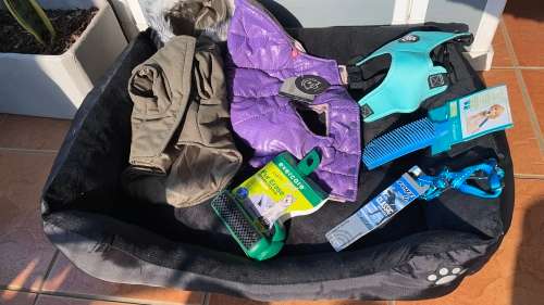 BARGAIN!!! Dog - Pet Accesories Combo!!!!