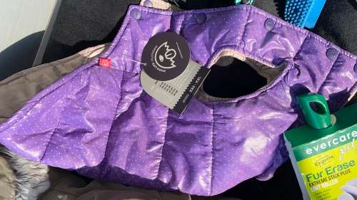 BARGAIN!!! Dog - Pet Accesories Combo!!!!