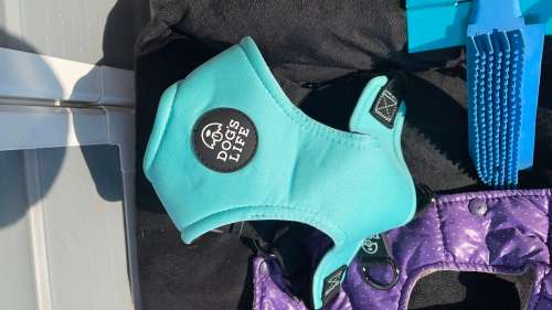 BARGAIN!!! Dog - Pet Accesories Combo!!!!