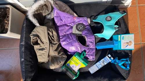 BARGAIN!!! Dog - Pet Accesories Combo!!!!