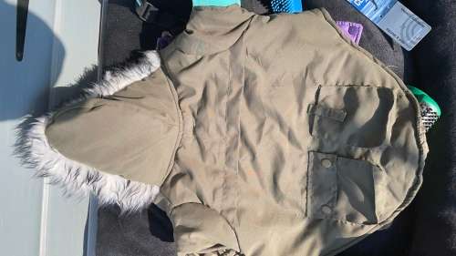 BARGAIN!!! Dog - Pet Accesories Combo!!!!