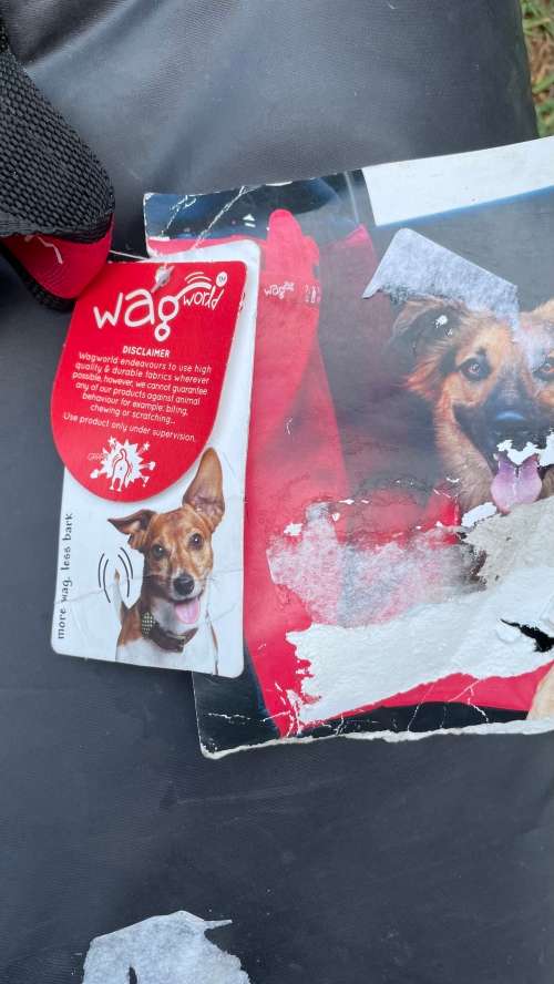 New! Wagworld - Car Seat Hammock - Double