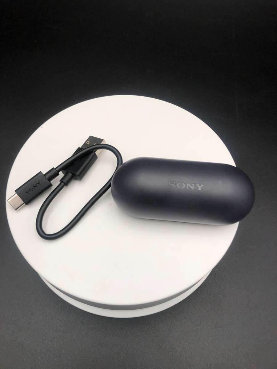 Sony WF-C500 Truly Wireless In-Ear Bluetooth Earbud ( Pls Read)