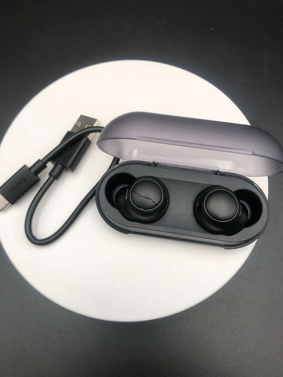 Sony WF-C500 Truly Wireless In-Ear Bluetooth Earbud ( Pls Read)