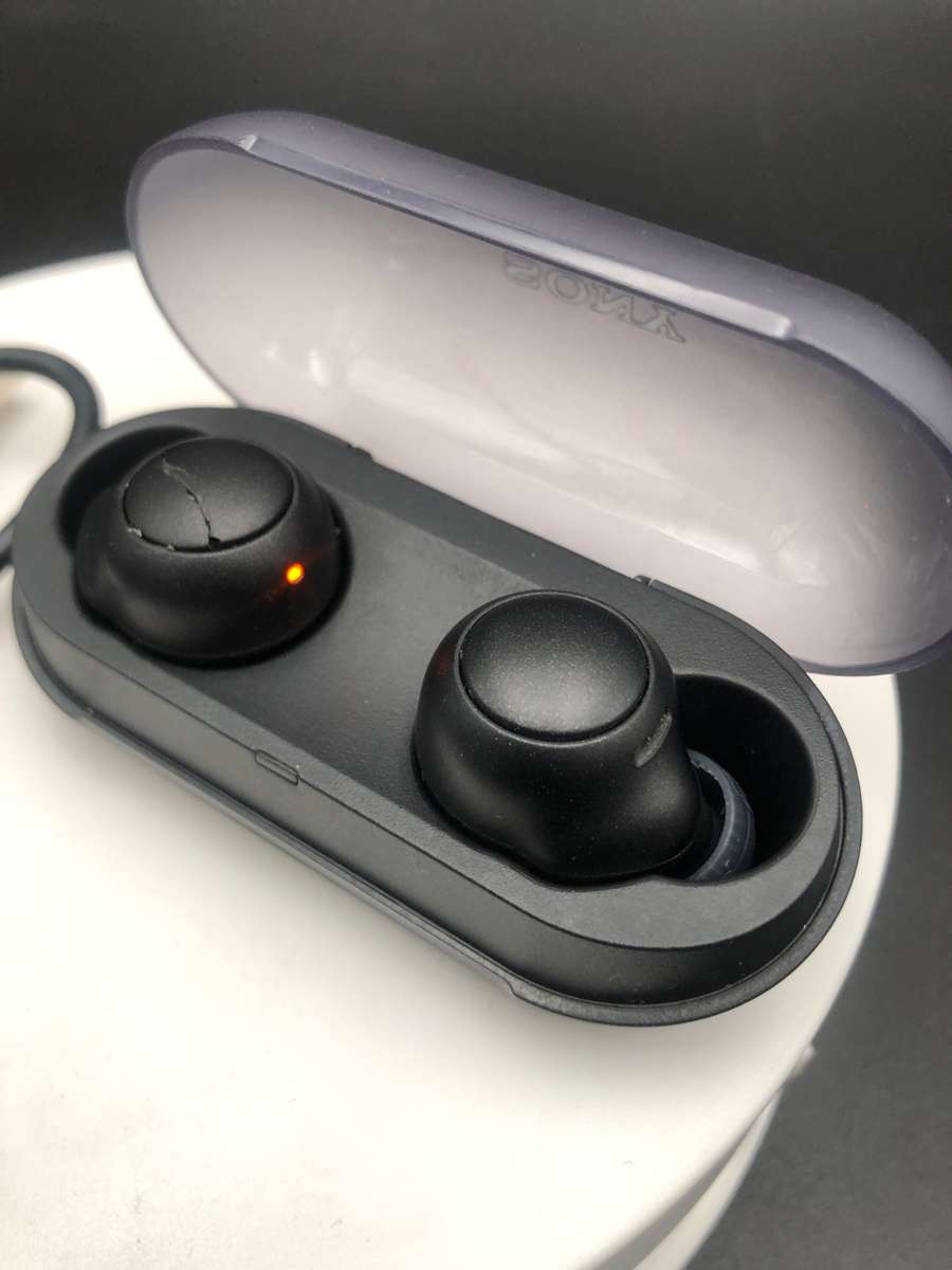 Sony WF-C500 Truly Wireless In-Ear Bluetooth Earbud ( Pls Read)