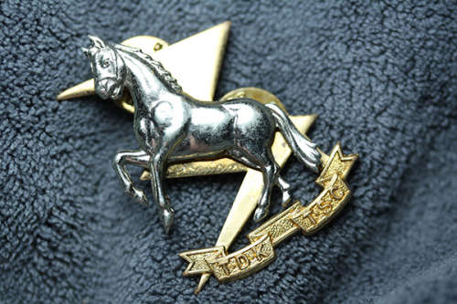 TECHNICAL SERVICE CORPS BERET BADGE