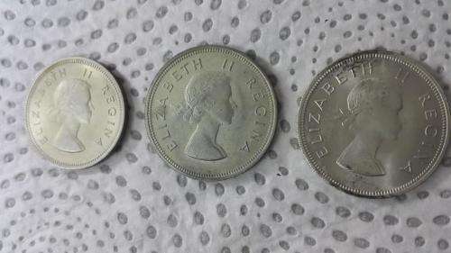 Nomisma Coin Preserve - 50ml Professional coin cleaning / coin cleaner fluid.