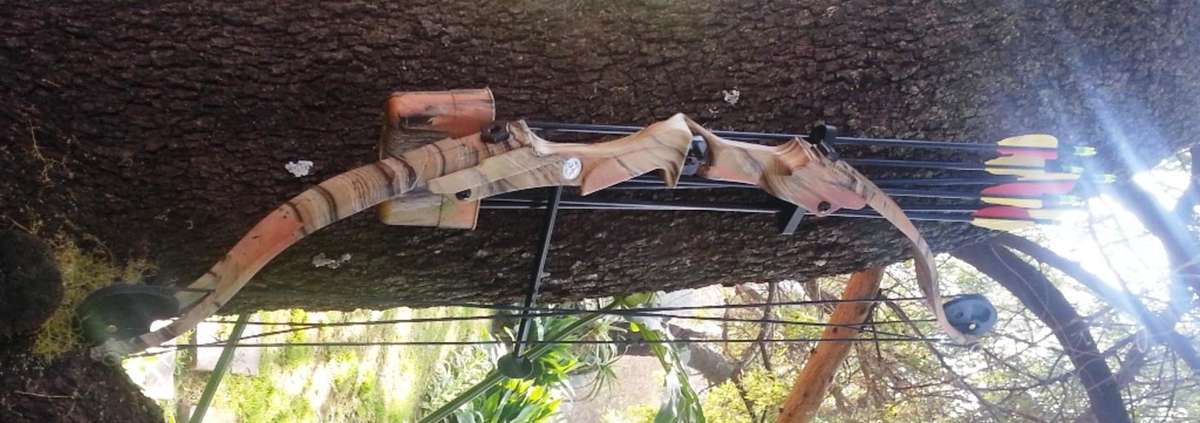 Compound Bow
