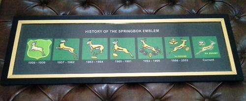 Springbok Emblem from 1906 to current.  Framed behind glass size 90cm x 30cm