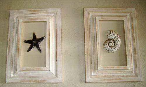 Sea Shell decor