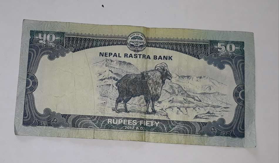 NEPAL 50 RUPEES 2012 MOUNTAIN GOAT