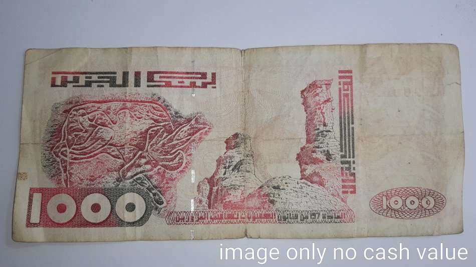 ALGERIA 1000 DINAR FV=R117