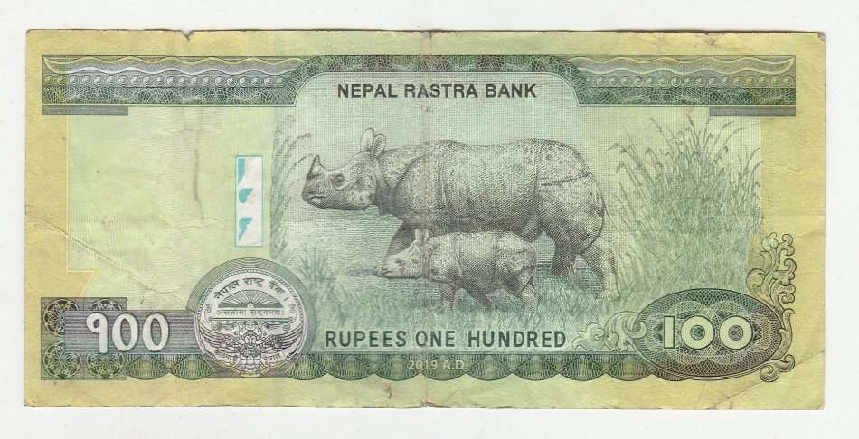 NEPAL 100 RUPEES 2019 RHINOS