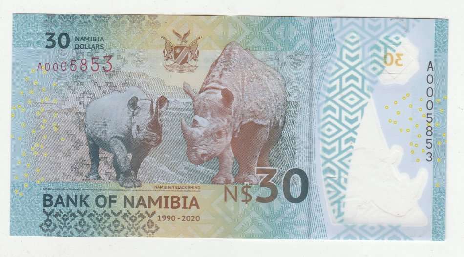 NAMIIA $30 RHINOS POLYMER HIGH GRADE