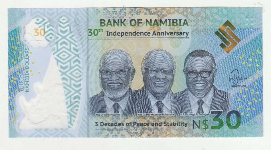 NAMIIA $30 RHINOS POLYMER HIGH GRADE