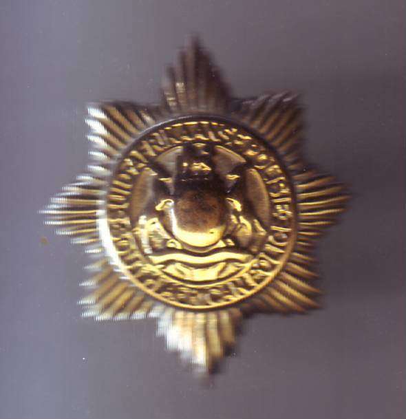 SOUTH AFRICAN POLICE CAP BADGE