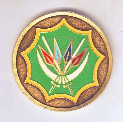 UNIT MEDALLION SA ARMY